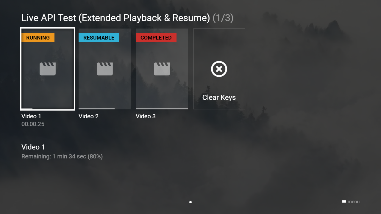 Example Screenshot (Live API Test - Extended Playback & Resume)