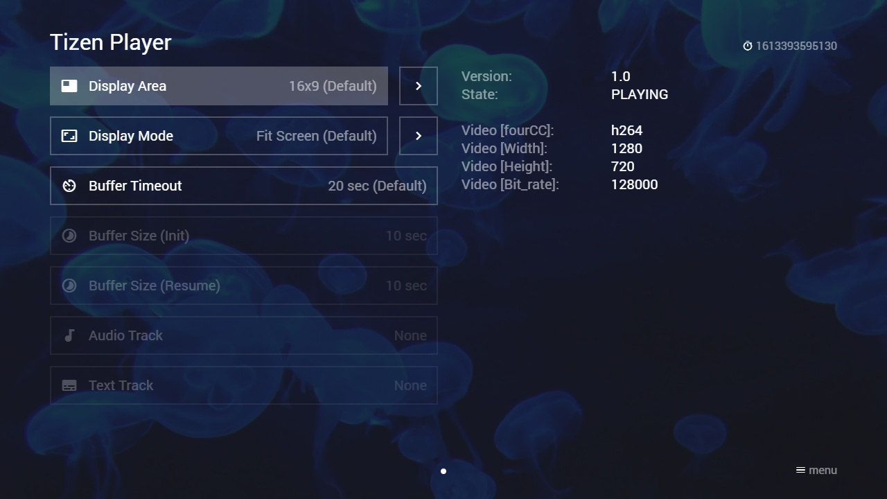 Example Screenshot (Tizen Player)